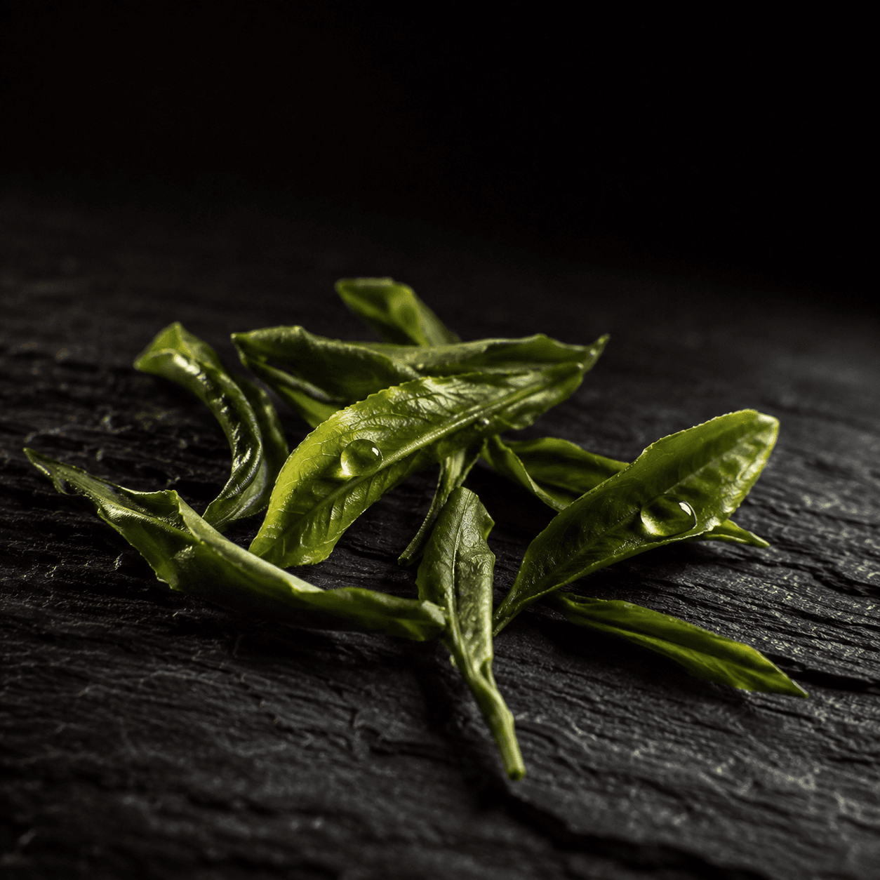Macro shot of fresh green tea leaves with a glistening water droplet, source of L-theanine